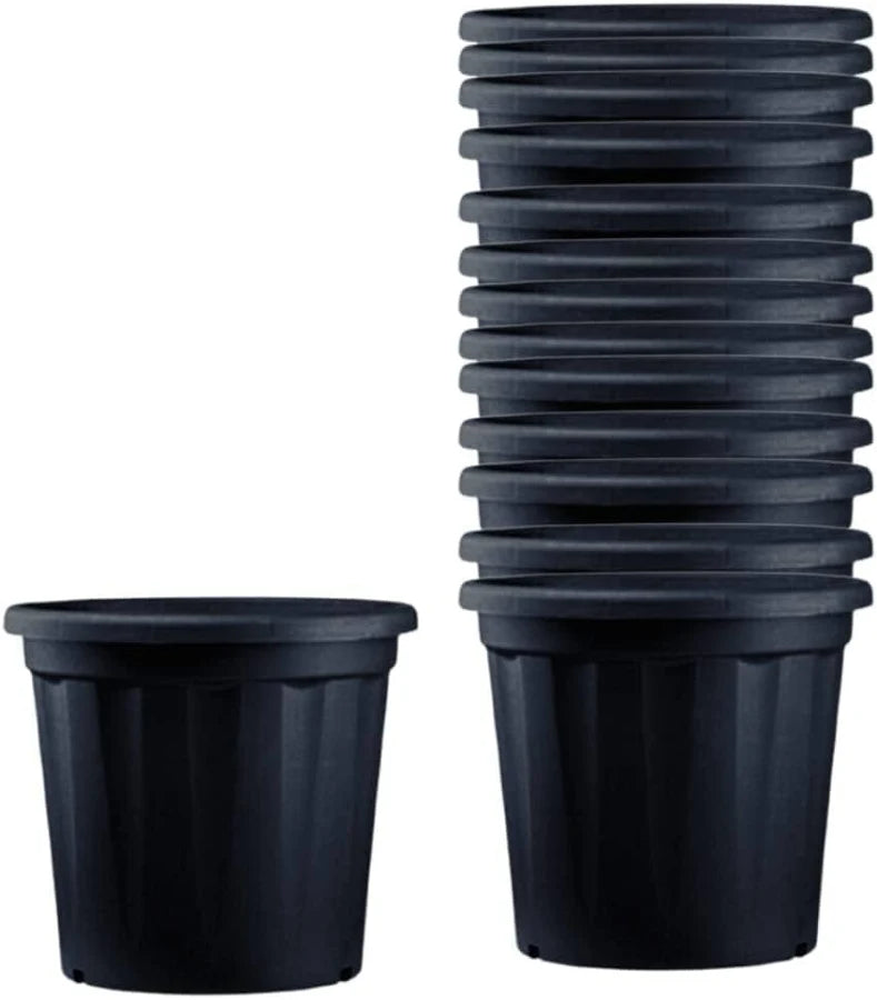 10 Inch Black Pot